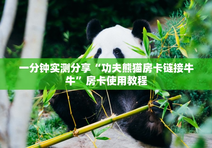 一分钟实测分享“功夫熊猫房卡链接牛牛”房卡使用教程